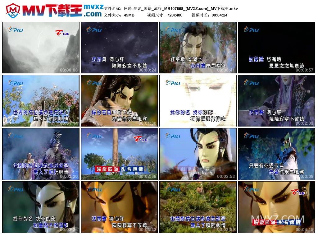 阿轮-注定_国语_流行_MB107858